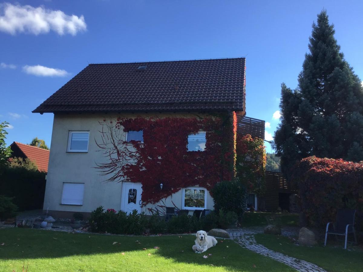Ferienwohnung Elli Gernrode (Saxony-Anhalt) Exterior foto